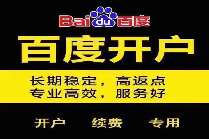 Sem优化公司案例：精准广告投放策略解析